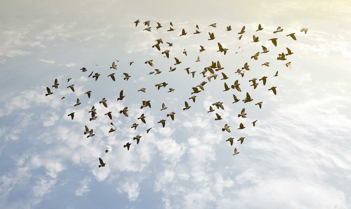 Regalo que Perdura: Historia Lean en Starbucks