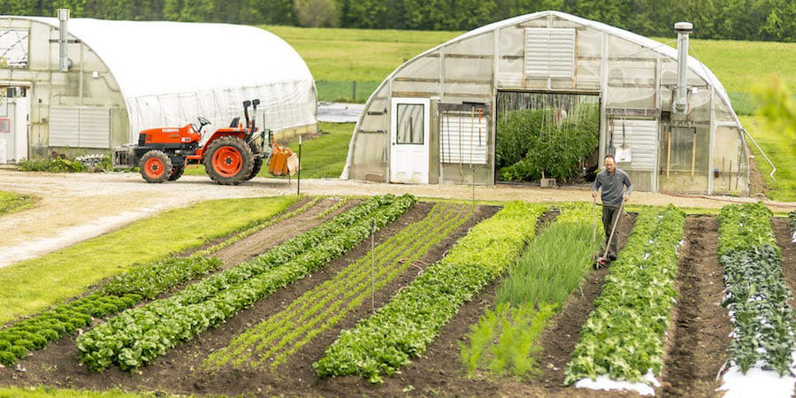 Entrevista con el agricultor Lean Ben Hartman